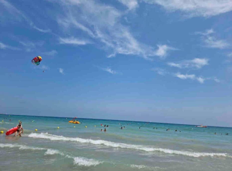 Charming & Spacious Apartment In Historic Centre & Short Walk To Beach Alicante Exteriér fotografie