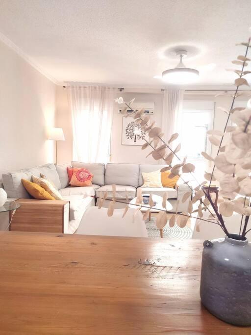 Charming & Spacious Apartment In Historic Centre & Short Walk To Beach Alicante Exteriér fotografie