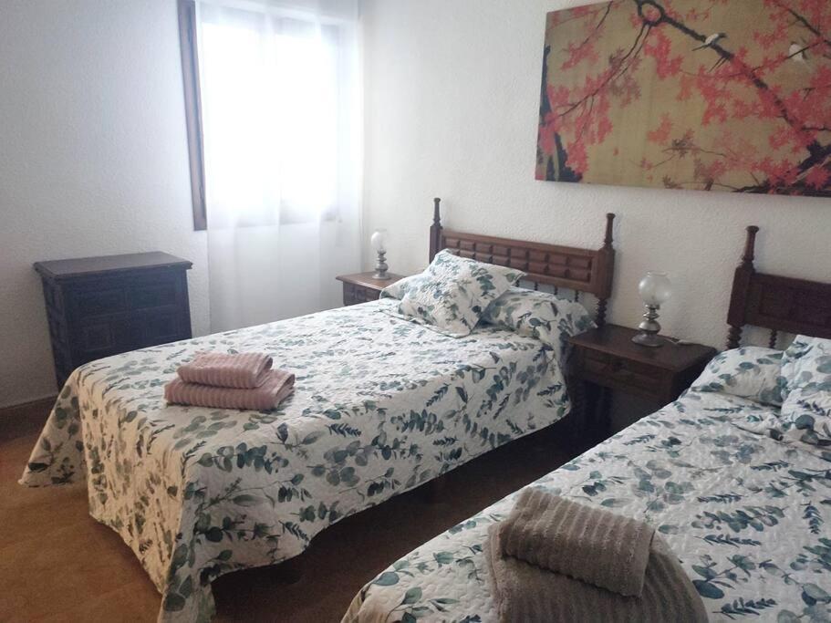 Charming & Spacious Apartment In Historic Centre & Short Walk To Beach Alicante Exteriér fotografie