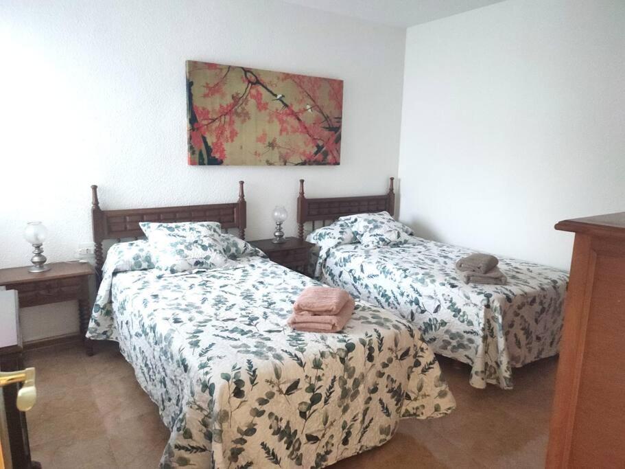 Charming & Spacious Apartment In Historic Centre & Short Walk To Beach Alicante Exteriér fotografie